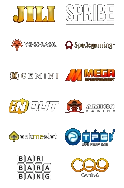 Software Provider Partners